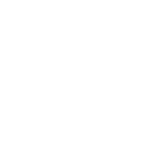 WildFire small logo