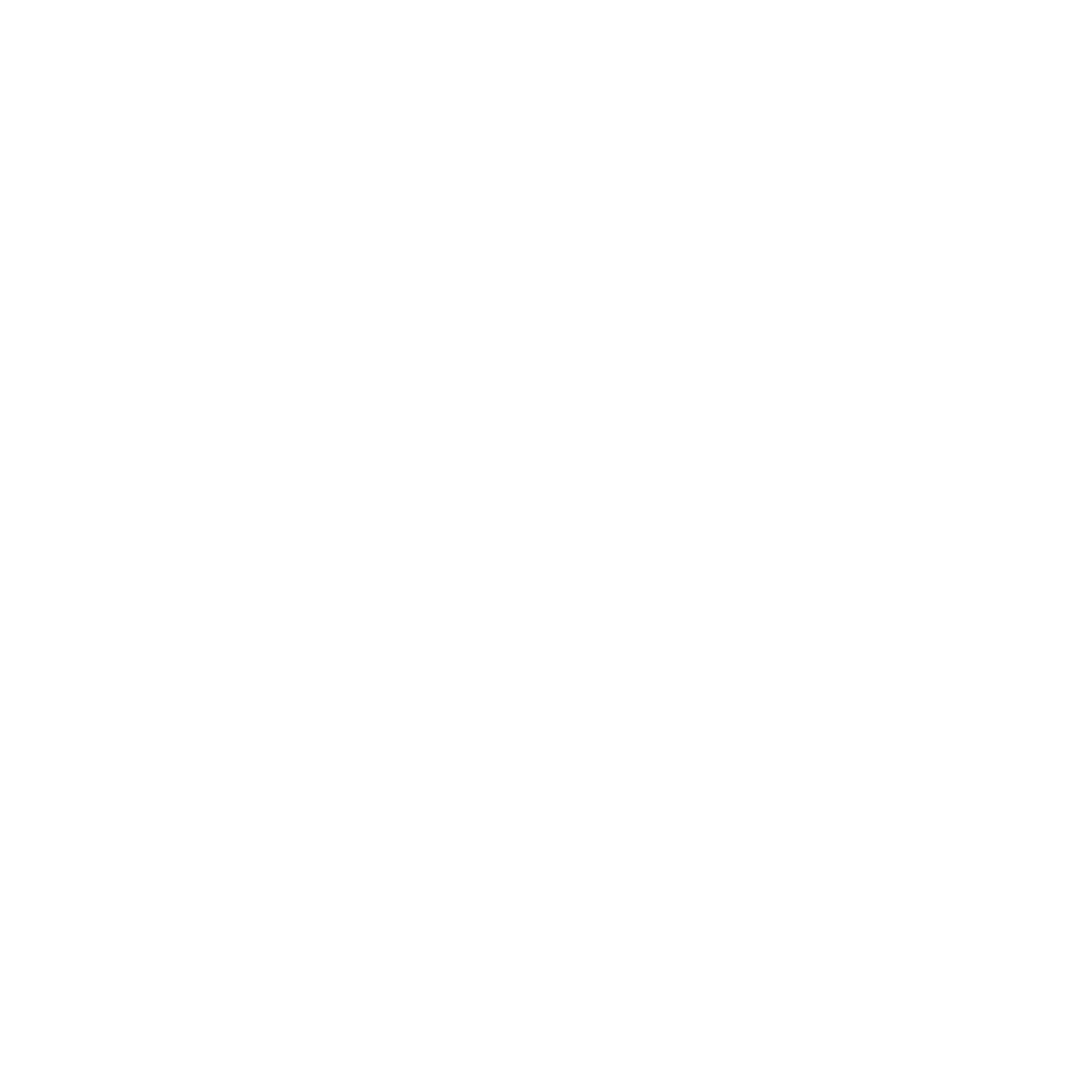 WildFire small logo